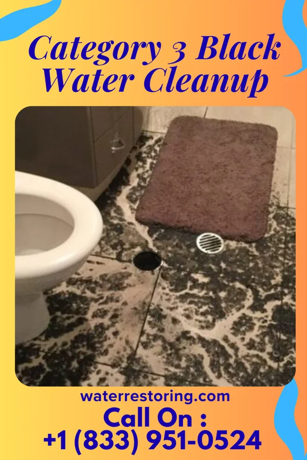 Category 3 Black Water Cleanup in Grand Detour, IL