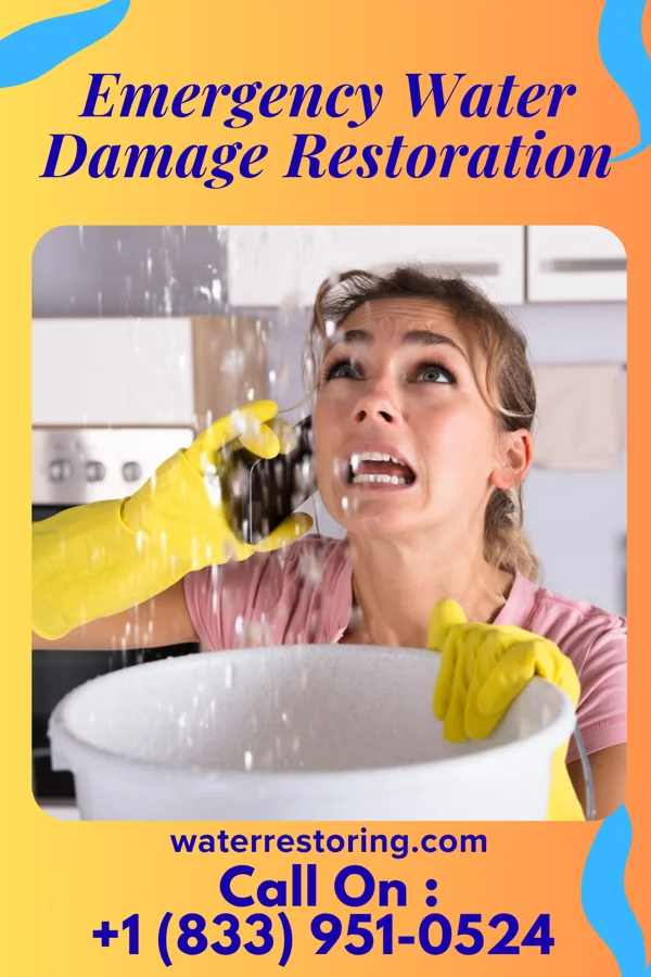 Emergency Water Damage Restoration in Grand Detour, IL