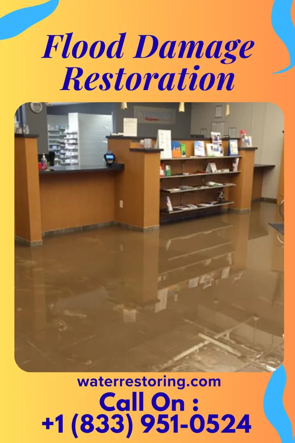 Flood Damage Restoration in Grand Detour, IL